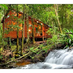 The Mouses House Rainforest Retreat Lodge