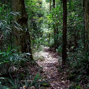Lyrebird Retreat Lodge