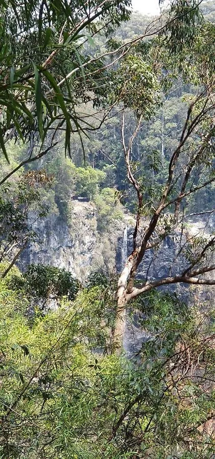 Holiday home Springbrook25 Pet Friendly House Villa